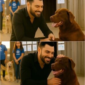 🔥 “ALL 39 DESERVE TOMORROW” — RYLAN CLARK’S SILENT ACT OF HEROISM THAT BROUGHT ANIMAL LOVERS TO TEARS 🐾💔🔥 Krixi