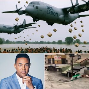 SHOCKING IN TEARS: A PRIVATE PLANE funded and arranged by legendary journalist Don Lemon quietly delivered $10 million