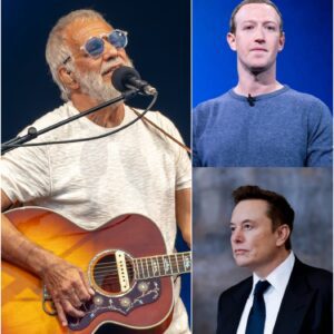 “HE SAID WHAT NO ONE ELSE DARED TO SAY” — Cat Stevens STUNS Zuckerberg, Musk, and the Billionaire Elite in a Moment That Shook Manhattan 💣🔥