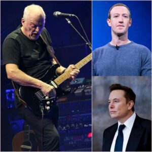 💥 “HE SAID WHAT NO ONE ELSE DARED TO SAY” — David Gilmour STUNS Zuckerberg, Musk, and the Billionaire Elite in a Moment That Shook Manhattan 💣🔥 a1