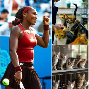 🥹🎾 In a heartwarming gesture off the court, Coco Gauff and her husband have officially opened "Whisker Haven," a $5 million sanctuary in Italy dedicated to rescuing and caring for stray cats.
