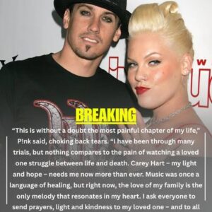 💔 HEARTBREAKING NEWS SHAKES THE MUSIC WORLD: P!NK MOURNS UNIMAGINABLE LOSS AS TRAGEDY STRIKES HER FAMILY nn