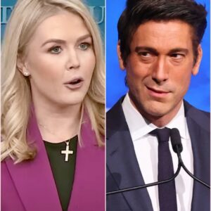 BREAKING NEWS: “I’M TIRED OF PEOPLE WHO KEEP INSULTING AMERICA.” — JUST ONE SENTENCE FROM DAVID MUIR, AND THE ENTIRE POLITICAL ARENA ERUPTED...