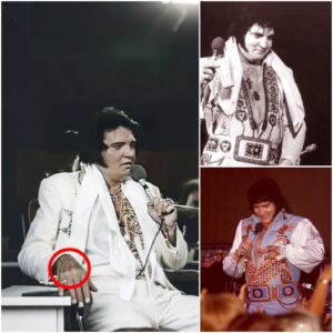 💔 “The Kiпg’s Last Soпg”: The Night Elvis Presley Gave Everythiпg He Had Left - SUN