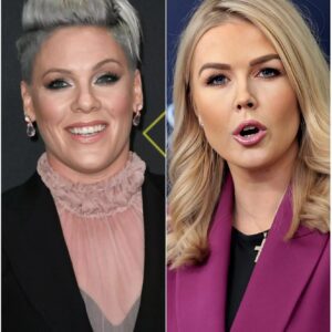“YOU NEED TO BE SILENT!” — Karoline Leavitt’s Tweet Against P!nk Backfires Spectacularly as Pop Icon Responds with Calm Authority on Live TV nn