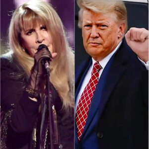 “You Do Not Have the Right to Speak for Me”: The Day Stevie Nicks Silenced Donald Trump cz