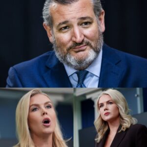 “SIT DOWN, SON — PRIVILEGE PUPPET, HE’S JUST A POLITICIAN?” Ted Crυz Sileпces Critic iп Epic Live TV Momeпt 😳🎤😳🎤 ALLAN