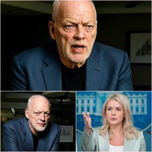 “YOU NEED TO BE SILENT!” — Karoline Leavitt’s Tweet Targeting David Gilmour Backfires Spectacularly as He Reads Every Word on Live TV A1
