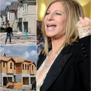 $14.9 Million in One Stroke: Barbra Streisand Turns Tour Fortune into 450 Homes for the Invisible. ws