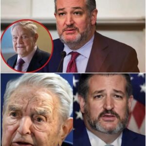 BREAKING: Ted Cruz has just launched a major offensive. He’s moving to designate George Soros’s funding of protests as “organized crime” under the RICO Act.