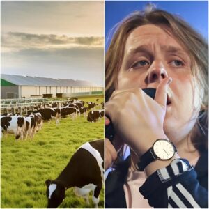 $18 Million on the Table – Lewis Capaldi Walks Away and Hands Farmers the Loudest Mic Drop in Music History. ws