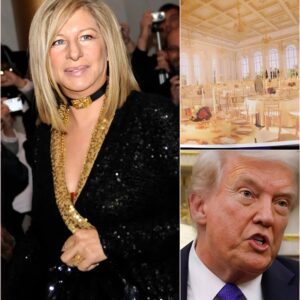 Barbra's Ballroom Takedown: Streisand Savages Trump in Gala Speech That Set America Ablaze. ws