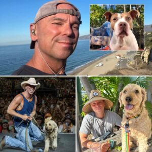 Kenny Chesney’s “Da Ruba Girl”: A Rescue Pup’s Legacy Turns Heartbreak into a Hymn of Hope lht