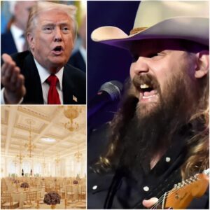 Chris Stapleton's Fiery Takedown: A Ballroom Roast That Echoed Across America Bon