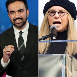 🚨Barbra Streisand CANCELS All 2025 NYC Tour Dates — “I Sing for Truth, Not for Division.” ws