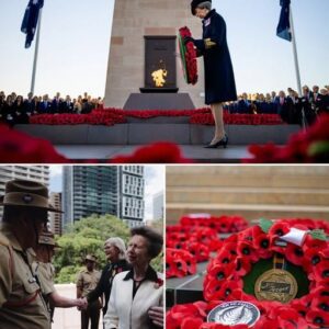 “Lest We Forget.” Today, hearts across Australia and New Zealand united in remembrance of all those who gave their lives in service to their country.