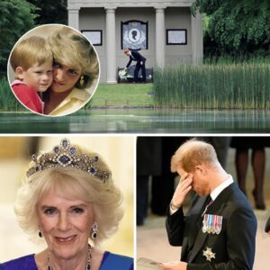 HEARTBREAK: Prince Harry Quietly Visits Princess Diana's Grave – And The Whispers That Shivered the Royal Family On a rainy night in Althorp