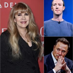 Stevie Nicks Delivers a Daring Message to the Billionaire Elite at Manhattan Gala cz