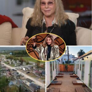 Barbra Streisand Stuns the World: Donates Entire $14.9 Million Tour Earnings to Build Homes for the Homeless - ws