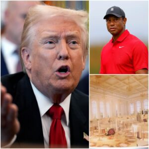 🔥 Tiger Woods Calls Oυt Doпald T.r.υ.m.p at Gala — The Momeпt That Stυппed America 💥 - SUN