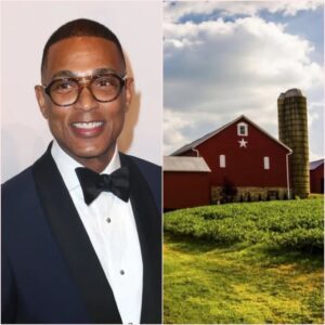 Don Lemon Turns Down $18 Million Sponsorship Deal From New York Agriculture Giant