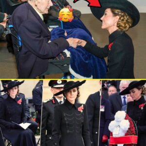 Princess Catherine’s HEARTWARMING MOMENT With Veteran After Attending The Armistice Day Service GOES VIRAL And Capture Hearts - Everyone Is Talking About the Same Thing - db