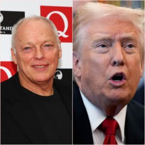🔥 “He’s Not Leading — He’s Destroying”: David Gilmour Blasts Do.n.ald T.r.u.m.p Over Climate Denial and ‘Crimes Against the Planet’ 🌍🎸