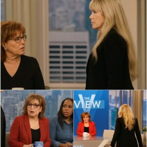 Stevie Nicks Walks Off The View: A Quiet Act of Grace That Spoke Louder Than Words cz