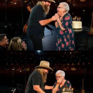 Chris Stapleton’s Nashville Night of Grace: A Birthday Serenade That Melted 30,000 Hearts nh