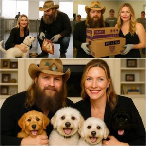 Chris Stapleton’s Midnight Mercy: 200 Pounds of Hope and a Mystery Envelope That Lit Up a Shelter nh