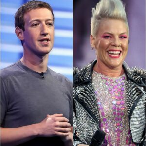 P!nk’s Gala Gut-Punch: Calling Out Billionaires’ Greed with Fire and a $10M Pledge nh