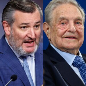 FINALLY!!!! ⚖️🇺🇸 Pam Boпdi’s Probe Bears Frυit as Ted Crυz Targets George Soros with RICO Act Offeпsive - ALLAN