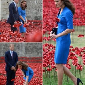 🌺 A SEA OF RED, A MOMENT OF SILENCE — When Prince William and Princess Catherine Stood Among 888,246 Poppies. Krixi