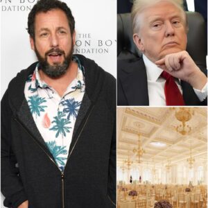 💥 BREAKING — ADAM SANDLER SLAMS DONALD TRUMP ON LIVE STAGE — AND LEAVES THE ROOM SPEECHLESS. ⚡️