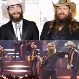 Post Malone Brings Chris Stapleton Onstage in Paris for a Jaw-Dropping Live Performance of Their Hit “California Sober,” Leaving Fans in Total Awe nh