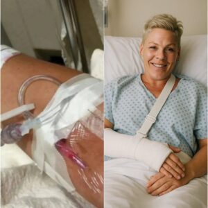 P!nk’s Road to Radiance: A Warrior’s Whisper of Hope After the Storm nh