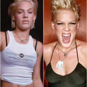 P!nk’s Phoenix Rise: From Overdose to Overdrive at 15 nh