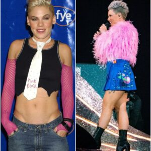 P!nk’s Punk-to-Peace Pivot: From Rebellion to Real Connection nh