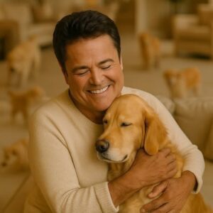 💖 Donny Osmond Saves Philadelphia Shelter — 39 Dogs Given a Second Chance at Life. Thỏ nè