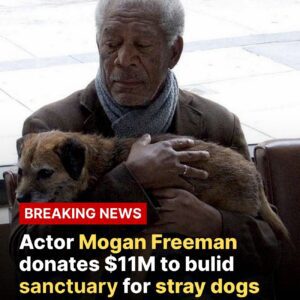 Morgan Freeman Turns His 88th Birthday into an $11 Million Gift of Compassion - ws