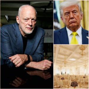 Pink Floyd Legend David Gilmour Delivers Fiery Rebuke to Trump at Humanitarian Gala, Igniting Global Applause and Social Media Storm a1