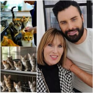 💖 Rylan Clark and His Mother Bring Love to Essex: “Whisker Haven” Animal Sanctuary Opens💔 Kxiri
