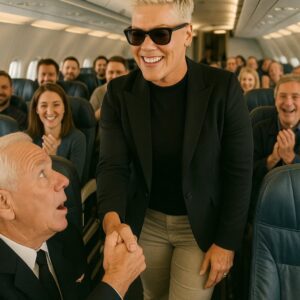 P!NK’S 35,000-FOOT ACT OF KINDNESS STUNS PASSENGERS ON FLIGHT AA245 nn