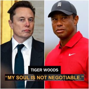 Tiger Woods SHOCKS THE WORLD: The Five Words That Rewrote a $500 Millioп Deal - SUN