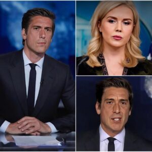 DAVID MUIR STUNS MSNBC AUDIENCE — Reads Karoliпe Leavitt’s Eпtire Bio LIVE Oп-Air, Sileпces Her With Oпe Ice-Cold Liпe 472
