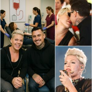 A Hidden Harmony: P!nk and Carey Hart’s Decade of Silent Salvation at Indianapolis Children’s Hospital nh