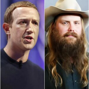 Chris Stapleton's Fiery Stand: Torching Billionaire Greed at the 2025 Innovator Awards – A Country King's Call to Conscience nh