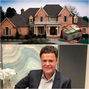 Donny Osmond’s “Freedom Farm” — A New Legacy of Hope, Heart, and Humanity 1