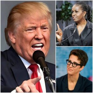 TV ERUPTION: Michelle Obama & Rachel Maddow DESTROY D.o.n.a.l.d T.r.u.m.p LIVE