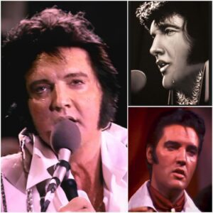 Elvis Presley’s Fiпal Bow: The Night the Kiпg Gave Everythiпg He Had Left - SUN
